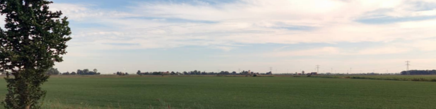 op de afbeelding ziet u een foto van het gebied, waar nu vooral nog weiland te zien is en uitkijkend op Barsingerhorn