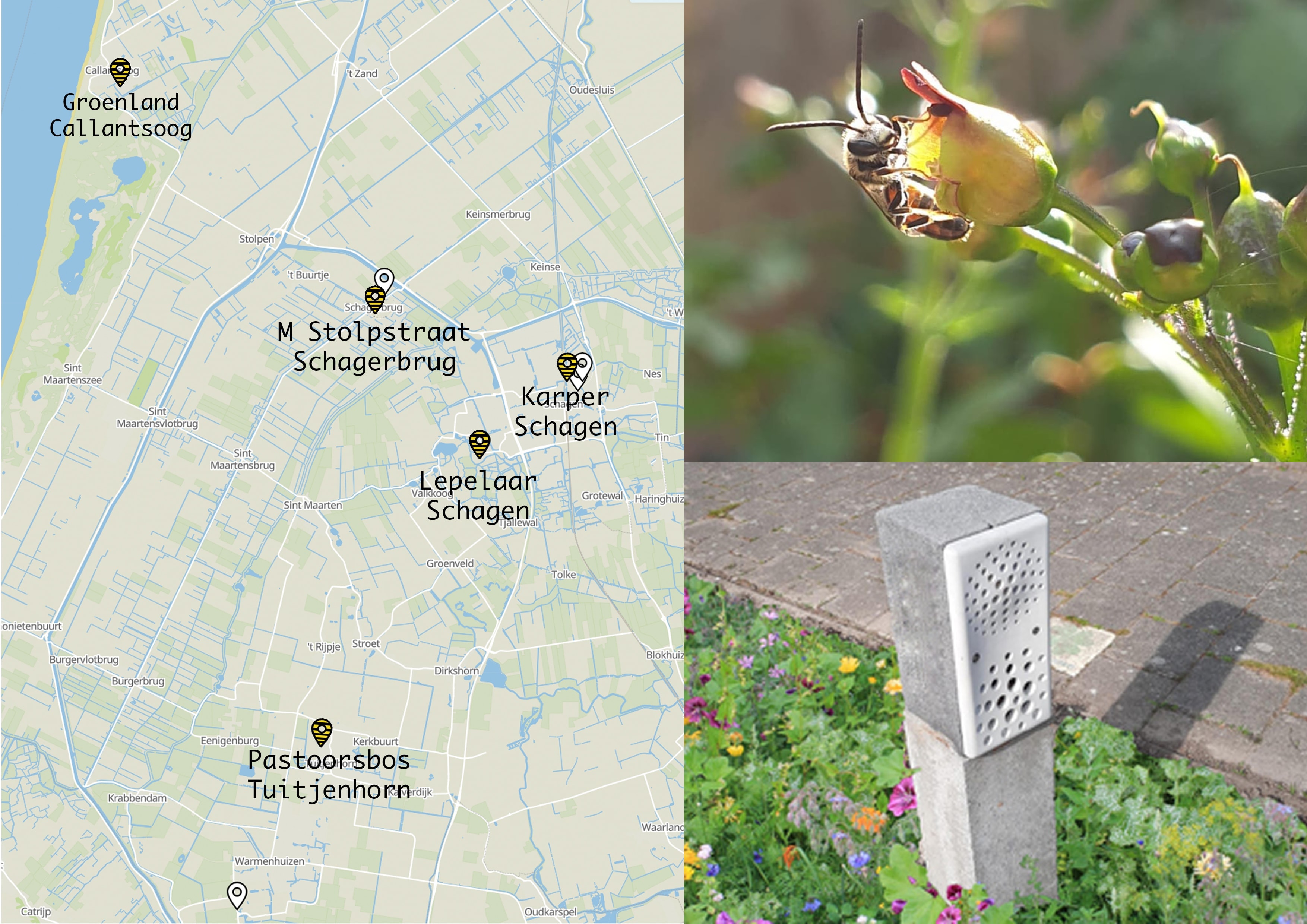 Hier worden de bijenhotels geplaatst!